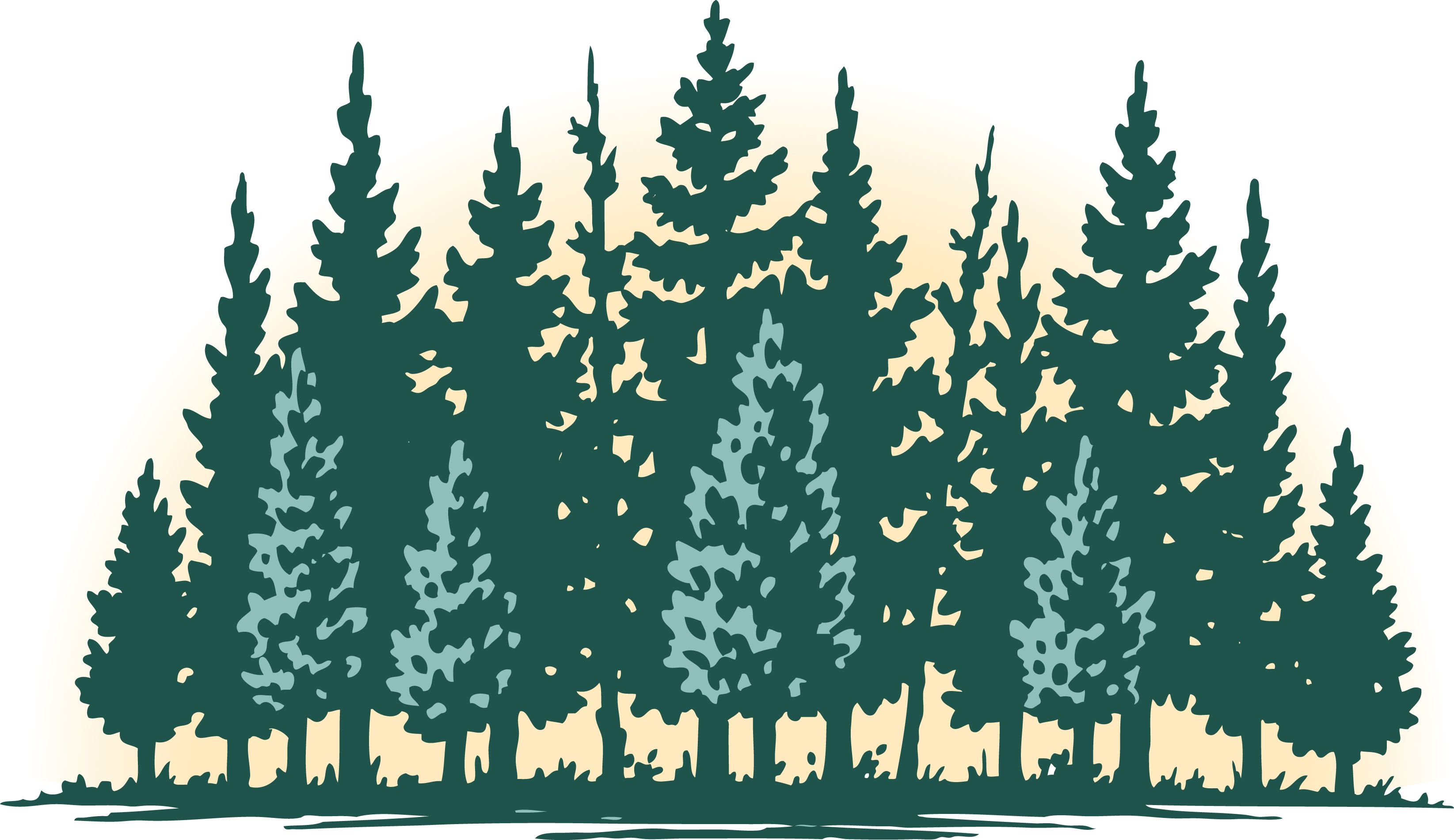 forest for the trees2.jpg